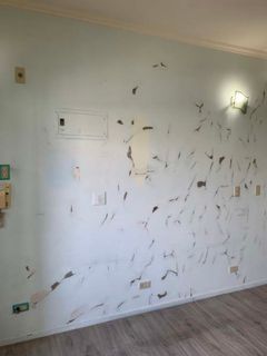 新北市新莊補土刷漆