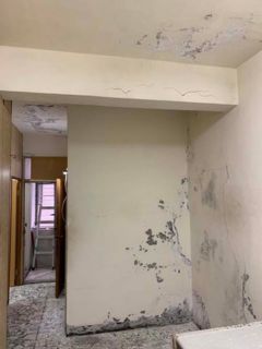 新北市蘆洲區民族路壁癌處理