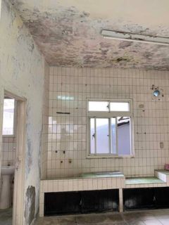 新北市新莊壁癌處理