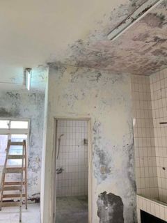 新北新莊壁癌處理上漆