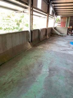 台北市南港區油漆