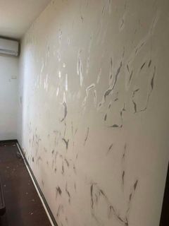 台北市中山區民族東路油漆