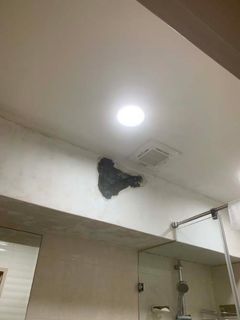 北市浴厠舊漆剝落