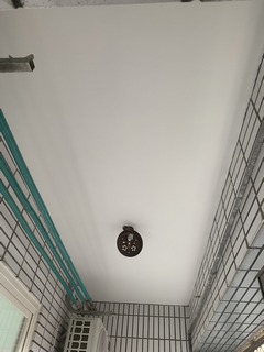 新北市蘆洲區鄰房粉刷施工